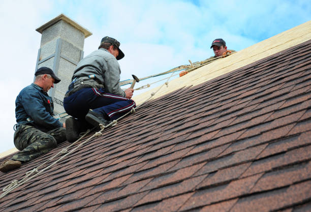 Gutter Installation and Roofing in Berkeley, IL